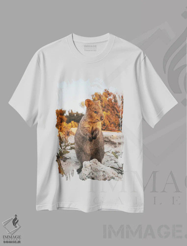 تیشرت سفید طرح دار کوئوککا در غروب جزیره راتنست اثر جیمز وودیکا | فروشگاه ایماژ