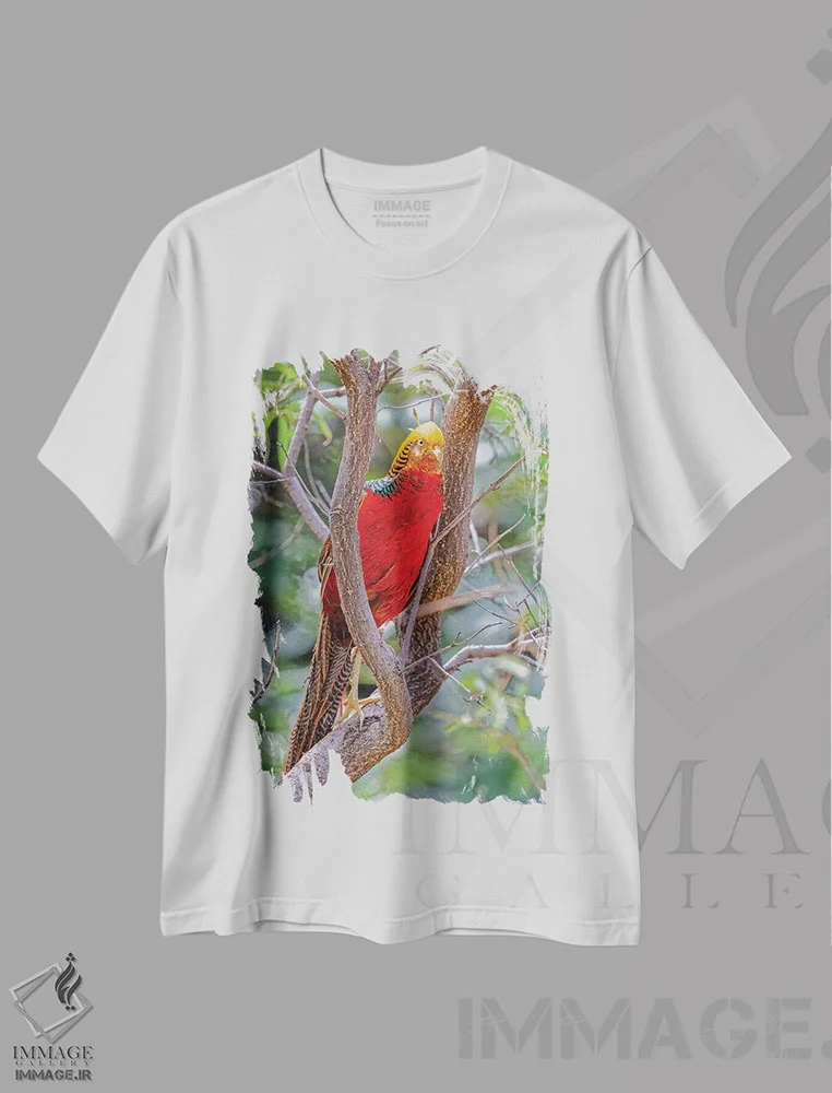 تیشرت سفید طرح دار آثار جینز گالری - فروشگاه ایماژ