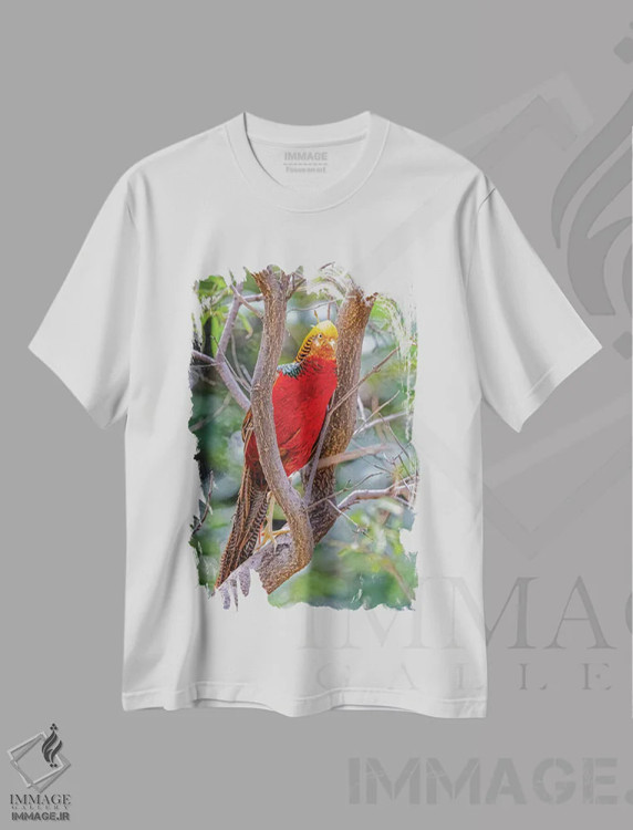 تیشرت سفید طرح دار آثار جینز گالری - فروشگاه ایماژ