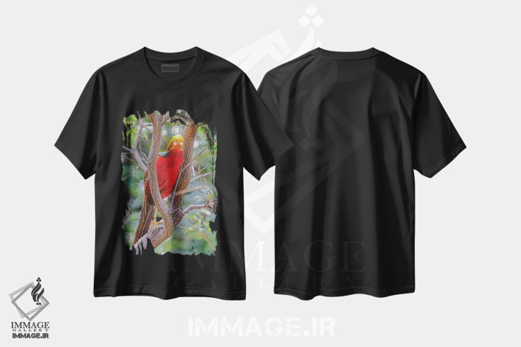 تیشرت مشکی طرح دار آثار جینز گالری - immage.ir