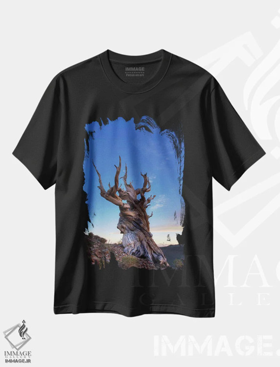 تیشرت مشکی طرح دار آثار جینز گالری - immage.ir
