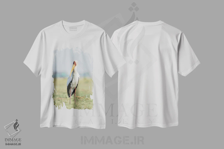 تیشرت سفید طرح دار آثار جینز گالری - immage.ir