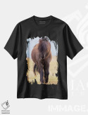 تیشرت مشکی طرح دار ایسلند. اسب ایسلندی در نور غروب III، مدیوم اثر جینز گالری | immage.ir