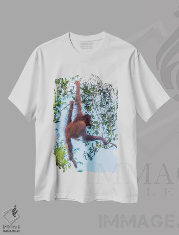 تیشرت سفید طرح دار آثار جینز گالری - immage.ir