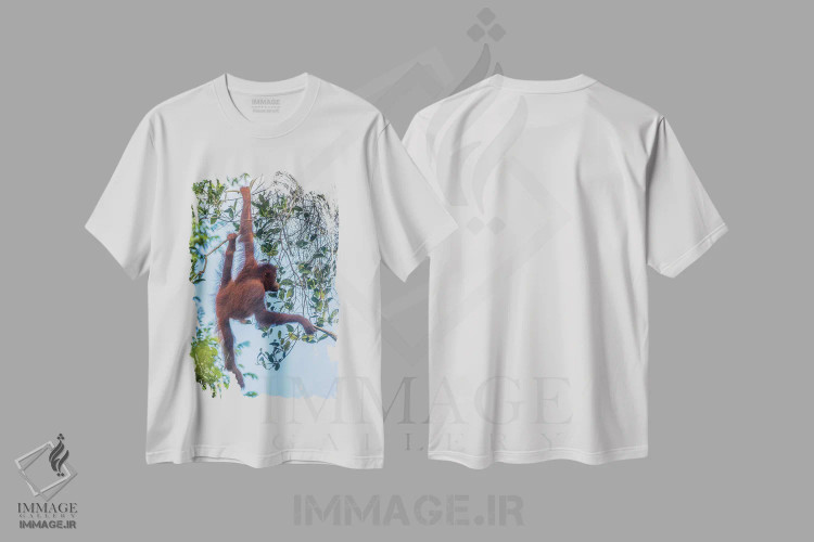 تیشرت سفید طرح دار آثار جینز گالری - immage.ir