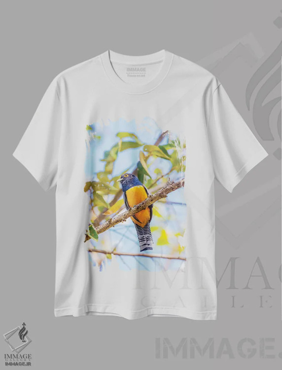 تیشرت سفید طرح دار آثار جینز گالری - فروشگاه ایماژ