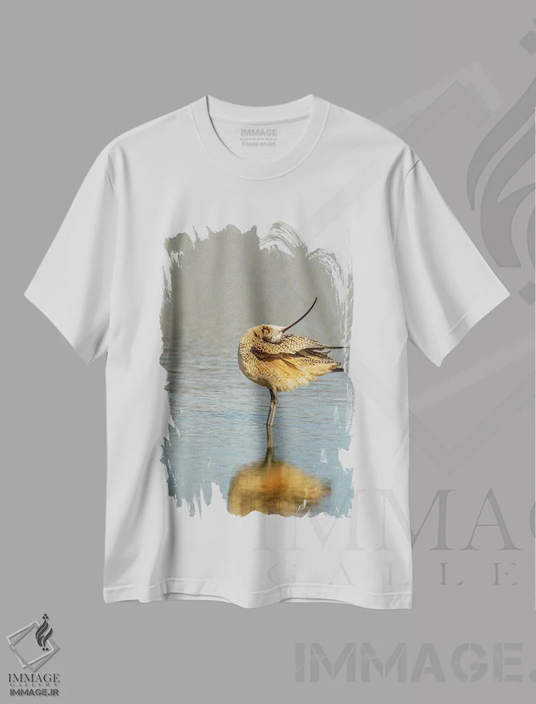 تیشرت سفید طرح دار آثار جینز گالری - immage.ir