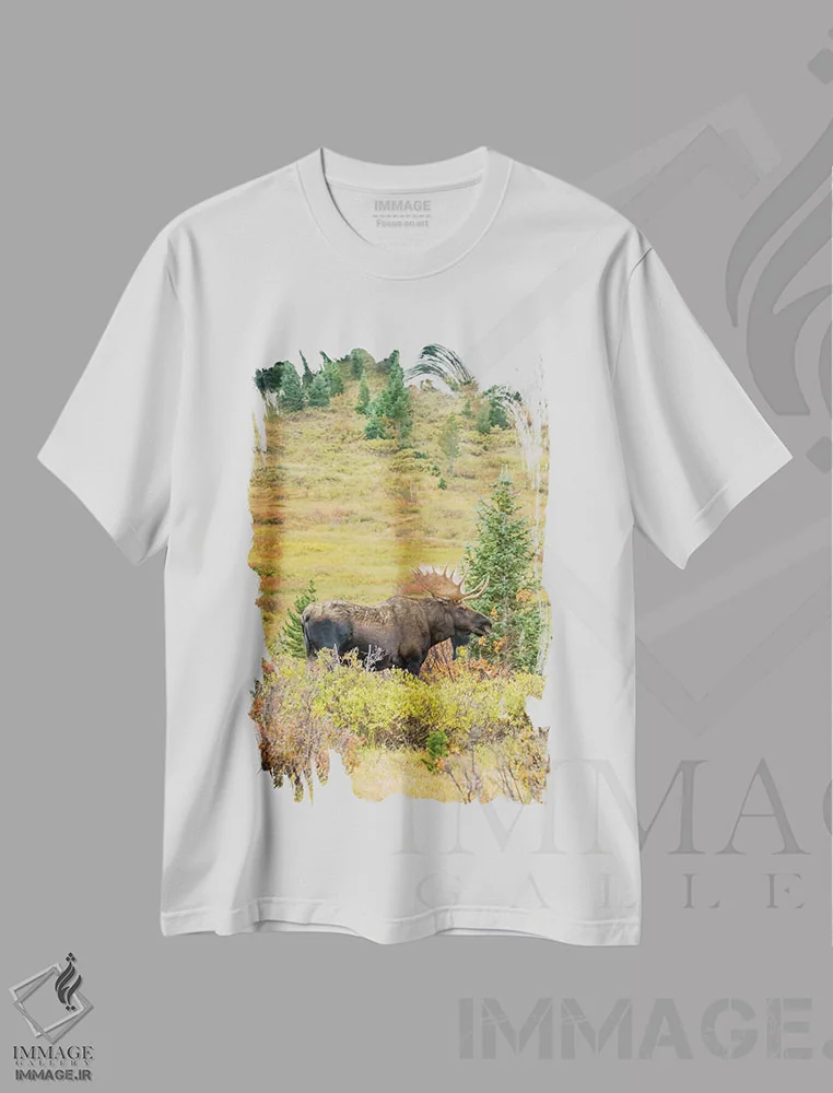 تیشرت سفید طرح دار آثار جینز گالری - فروشگاه ایماژ