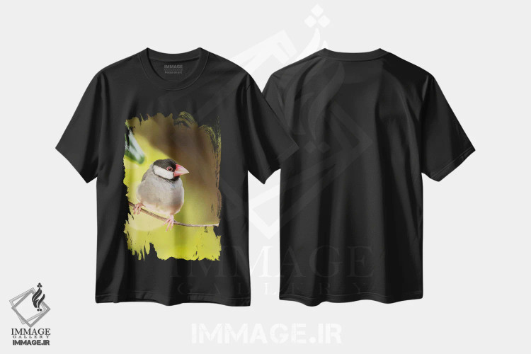 تیشرت مشکی طرح دار آثار جینز گالری - immage.ir