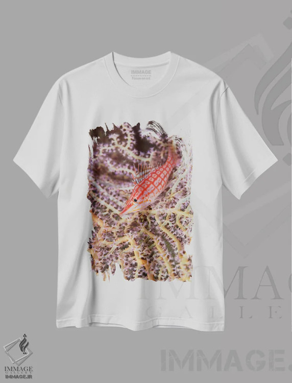 تیشرت سفید طرح دار آثار جینز گالری - immage.ir