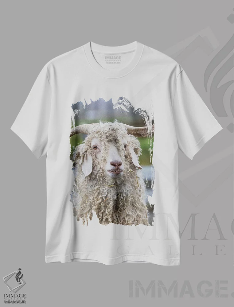 تیشرت سفید طرح دار آثار جینز گالری - immage.ir