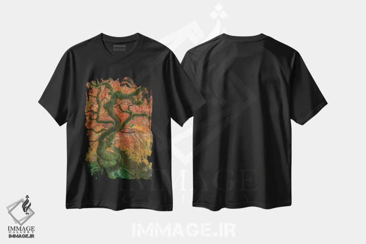 تیشرت مشکی طرح دار آثار جینز گالری - فروشگاه ایماژ