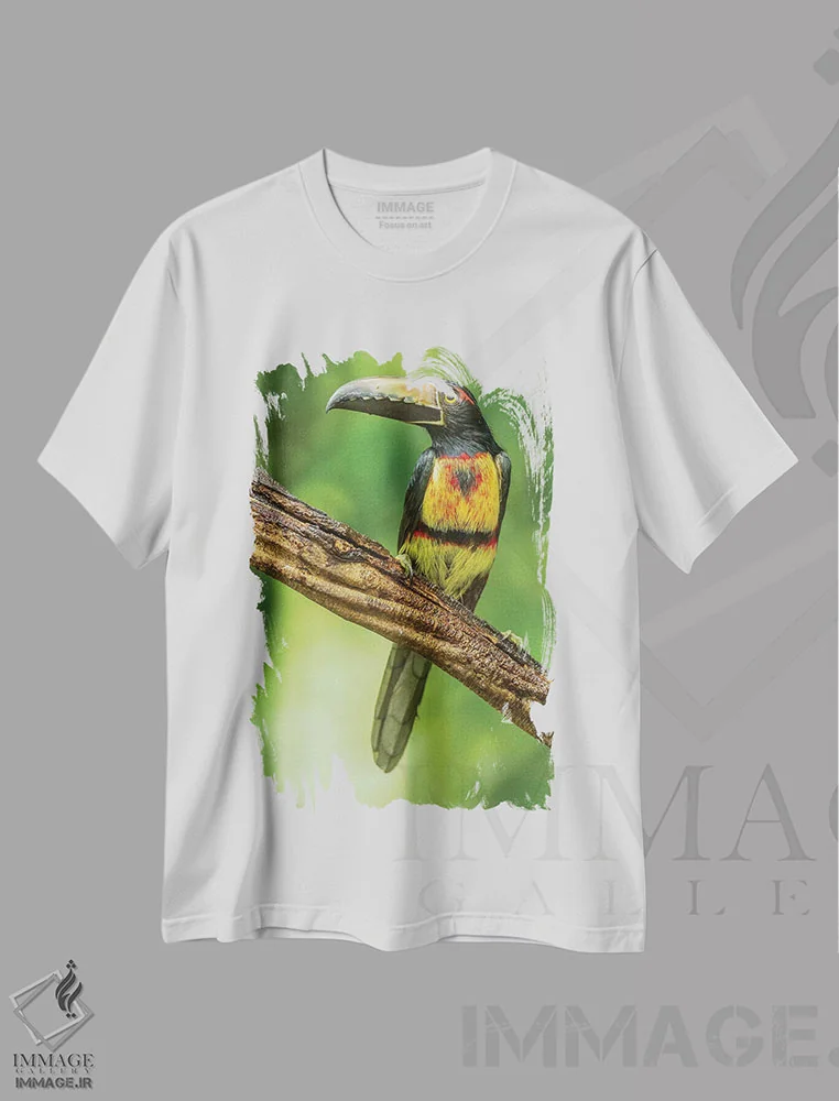 تیشرت سفید طرح دار آثار جینز گالری - immage.ir