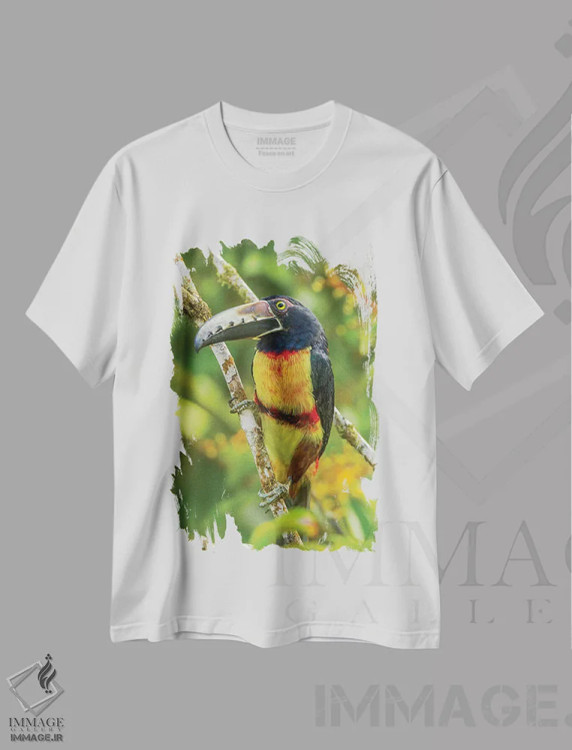 تیشرت سفید طرح دار آثار جینز گالری - immage.ir