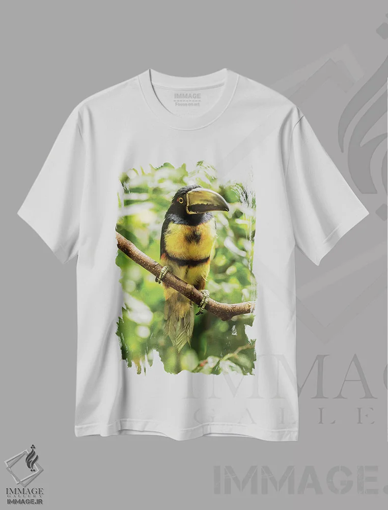تیشرت سفید طرح دار آثار جینز گالری - فروشگاه ایماژ