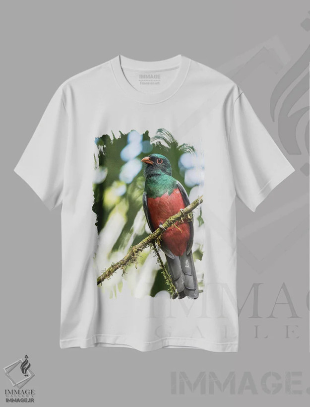 تیشرت سفید طرح دار آثار جینز گالری - immage.ir