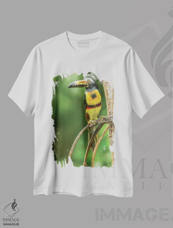 تیشرت سفید طرح دار آثار جینز گالری - immage.ir