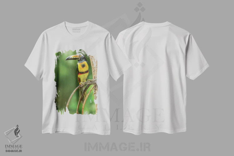 تیشرت سفید طرح دار آثار جینز گالری - immage.ir