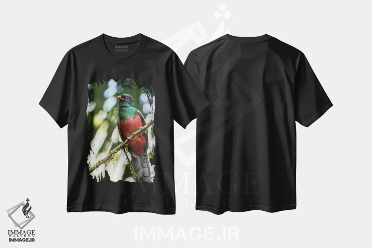 تیشرت مشکی طرح دار آثار جینز گالری - فروشگاه ایماژ