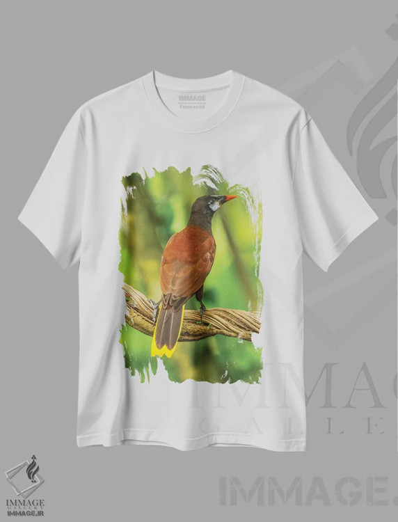 تیشرت سفید طرح دار آثار جینز گالری - immage.ir