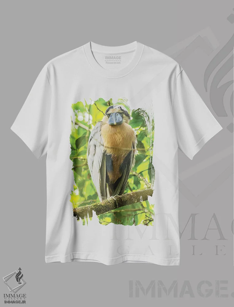 تیشرت سفید طرح دار کاستاریکا. نمای نزدیک مرغ ماهی خوار نوک قایقی، مدیوم اثر جینز گالری | immage.ir