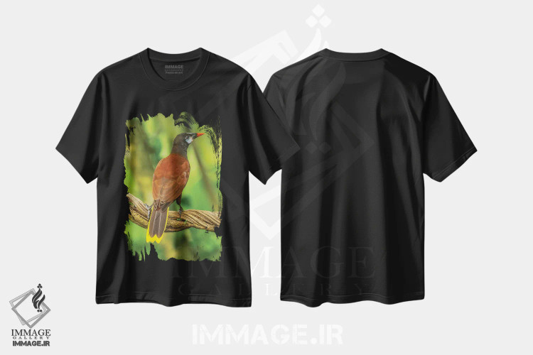 تیشرت مشکی طرح دار آثار جینز گالری - فروشگاه ایماژ