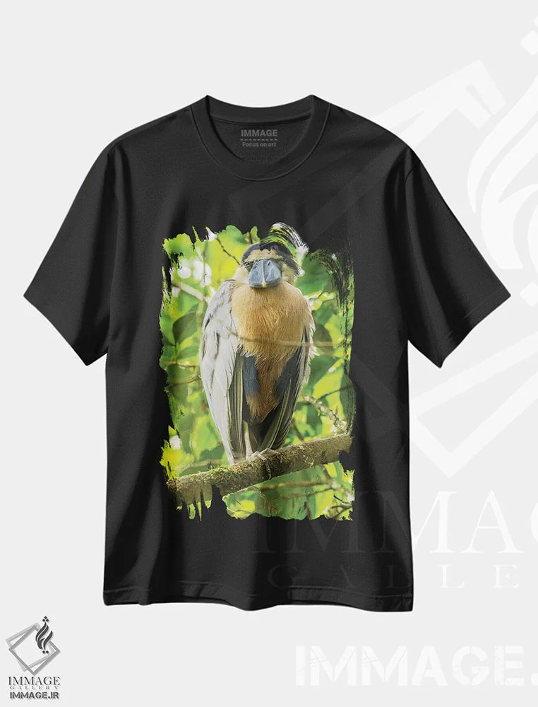 تیشرت مشکی طرح دار کاستاریکا. نمای نزدیک مرغ ماهی خوار نوک قایقی، مدیوم اثر جینز گالری | فروشگاه ایماژ