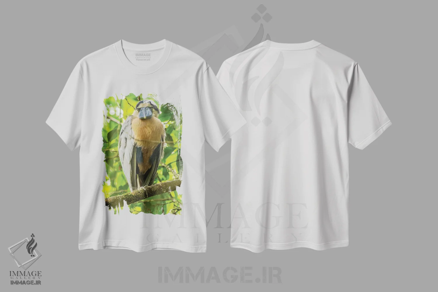 تیشرت سفید طرح دار کاستاریکا. نمای نزدیک مرغ ماهی خوار نوک قایقی، مدیوم اثر جینز گالری | immage.ir