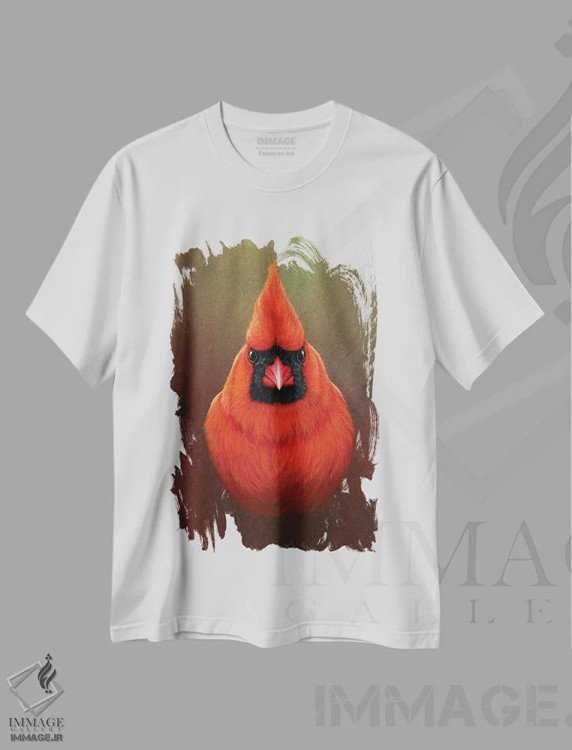 تیشرت سفید طرح دار کاردینال، تزئینی اثر جرمی پاول | immage.ir