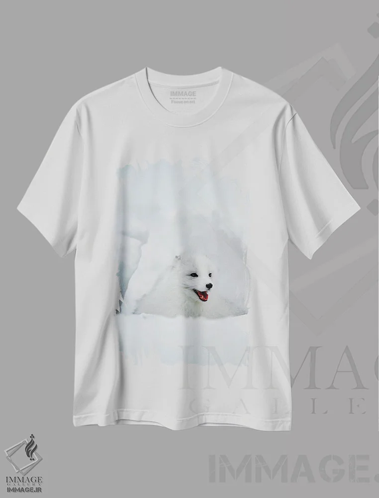 تیشرت سفید طرح دار Alaska, USA,روباه قطبی، آلاسکا، ایالات متحده، مدیوم اثر جیم زاکرمن | immage.ir