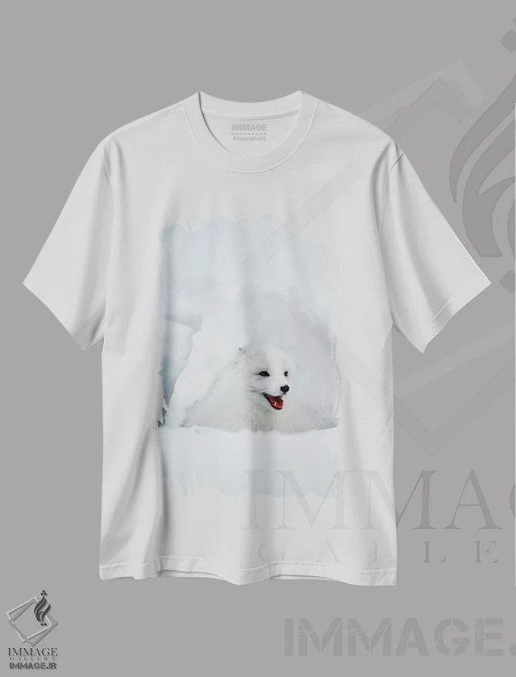 تیشرت سفید طرح دار Alaska, USA,روباه قطبی، آلاسکا، ایالات متحده، مدیوم اثر جیم زاکرمن | immage.ir