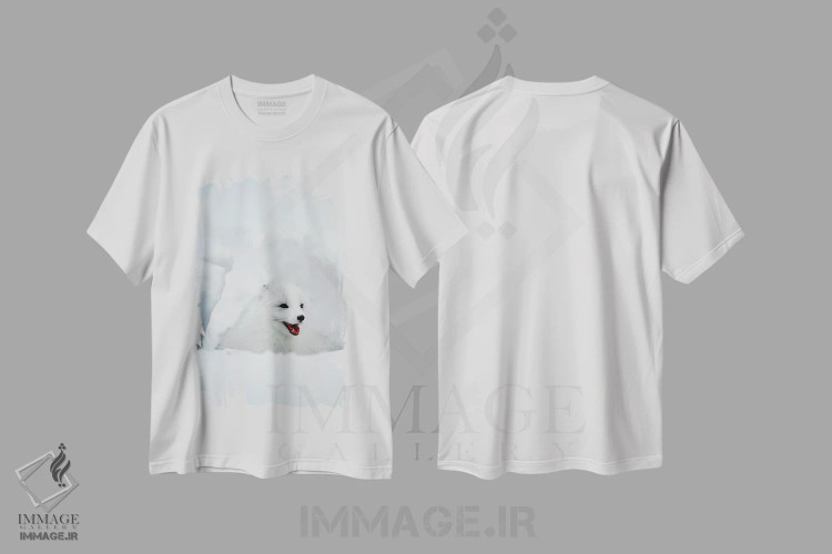 تیشرت سفید طرح دار Alaska, USA,روباه قطبی، آلاسکا، ایالات متحده، مدیوم اثر جیم زاکرمن | immage.ir