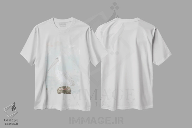 تیشرت سفید طرح دار مرغ دریایی تنها، دکور ساحلی اثر کارن بارسکی | immage.ir