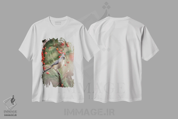 تیشرت سفید طرح دار موش تیغی کاکل دار و توت قرمز، مدیوم اثر کارن بورک | فروشگاه ایماژ