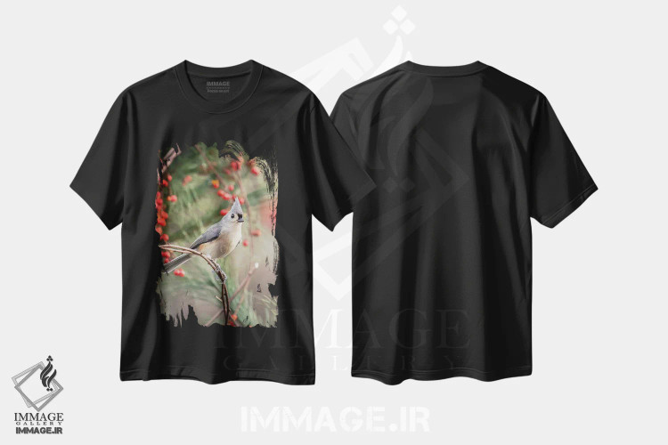 تیشرت مشکی طرح دار موش تیغی کاکل دار و توت قرمز، مدیوم اثر کارن بورک | immage.ir