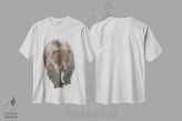 تیشرت سفید طرح دار خرس قهوه ای، دکور کلبه و لژ اثر کیم کورینگا | immage.ir