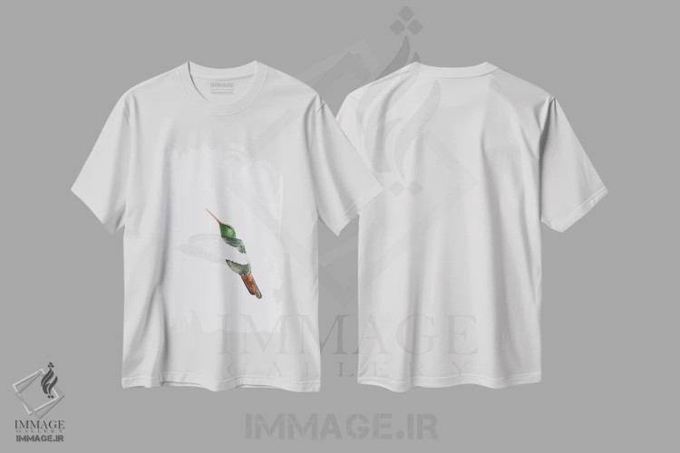 تیشرت سفید طرح دار پرواز مرغ مگس خوار، دکور معاصر اثر کارینا دانیلچوک | immage.ir