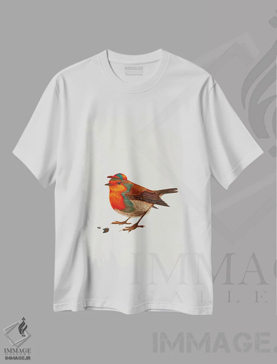 تیشرت سفید طرح دار سینه سرخ با کلاه، دکور معاصر اثر کارینا دانیلچوک | immage.ir