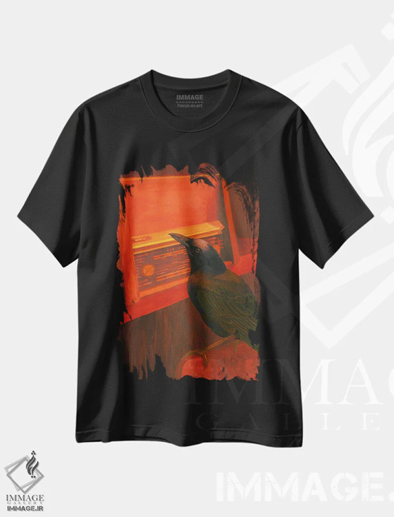 تیشرت مشکی طرح دار رادیو، دکور معاصر اثر کارینا دانیلچوک | immage.ir