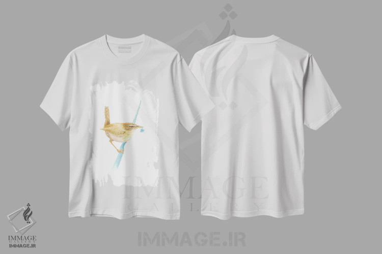 تیشرت سفید طرح دار فنچ اوراسیایی با گل پلاستیکی، دکور معاصر اثر کارینا دانیلچوک | immage.ir