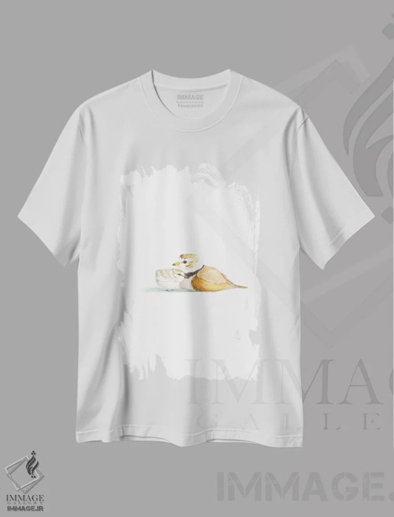 تیشرت سفید طرح دار پلوور کنتیش، دکور معاصر اثر کارینا دانیلچوک | فروشگاه ایماژ