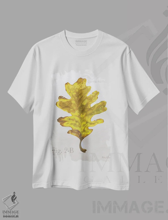 تیشرت سفید طرح دار برگ های پاییزی روی طوسی ۳ - بلوط، دکور کلبه و لژ اثر کلسی ویلسون | فروشگاه ایماژ