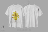 تیشرت سفید طرح دار برگ های پاییزی روی طوسی ۳ - بلوط، دکور کلبه و لژ اثر کلسی ویلسون | فروشگاه ایماژ
