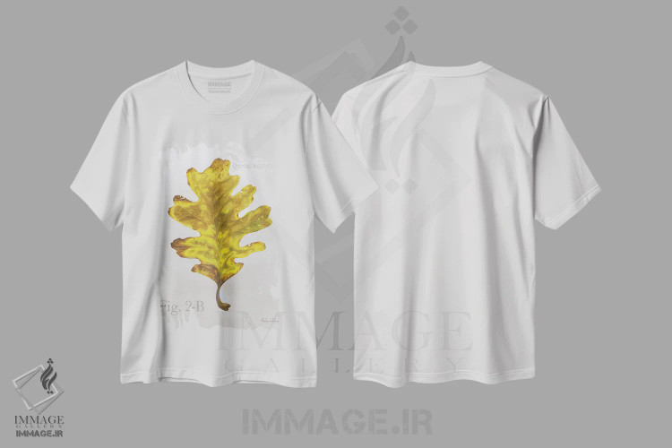 تیشرت سفید طرح دار برگ های پاییزی روی طوسی ۳ - بلوط، دکور کلبه و لژ اثر کلسی ویلسون | فروشگاه ایماژ
