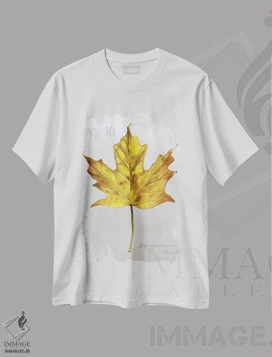 تیشرت سفید طرح دار برگ های پاییزی روی طوسی ۱ - افرا، دکور کلبه و لژ اثر کلسی ویلسون | فروشگاه ایماژ