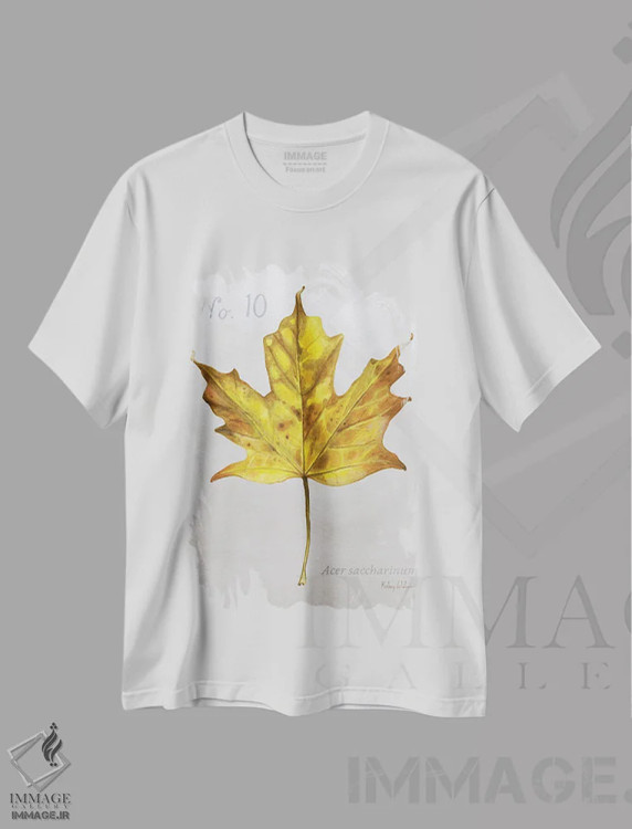 تیشرت سفید طرح دار برگ های پاییزی روی طوسی ۱ - افرا، دکور کلبه و لژ اثر کلسی ویلسون | فروشگاه ایماژ