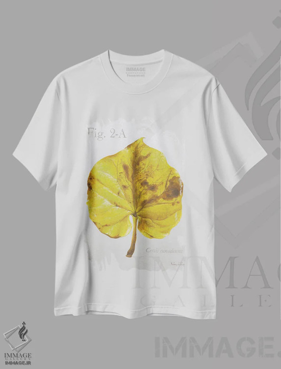 تیشرت سفید طرح دار برگ های پاییزی روی طوسی ۴ - ردباد، دکور کلبه و لژ اثر کلسی ویلسون | immage.ir