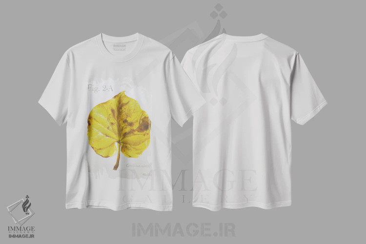 تیشرت سفید طرح دار برگ های پاییزی روی طوسی ۴ - ردباد، دکور کلبه و لژ اثر کلسی ویلسون | immage.ir