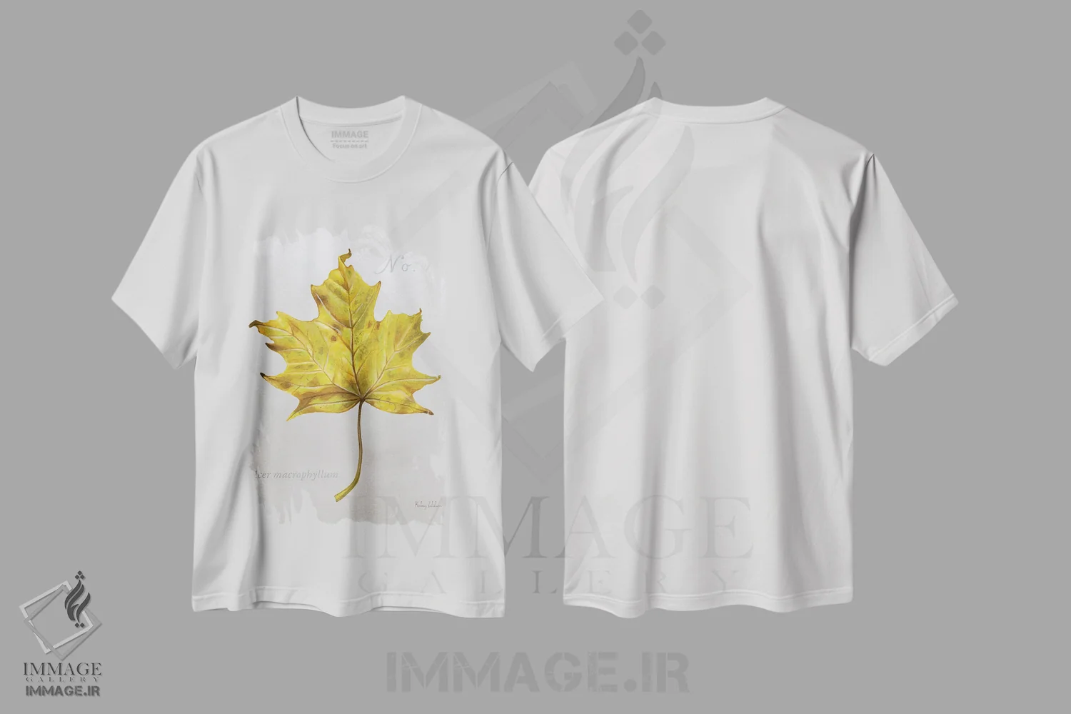 تیشرت سفید طرح دار برگ های پاییزی روی طوسی ۲ - افرا ۲، دکور کلبه و لژ اثر کلسی ویلسون | immage.ir