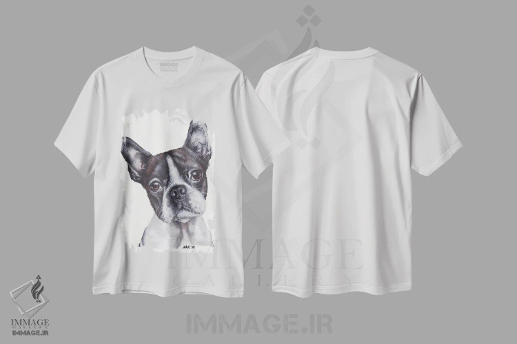 تیشرت سفید طرح دار تِریِر بوستون، تزئینی اثر هنر و طراحی KAK | immage.ir